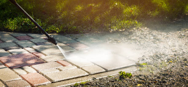 Reliable Basile, LA Pressure Washing Services Solutions